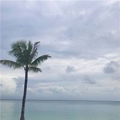 和王老汉一起攻克难关下载